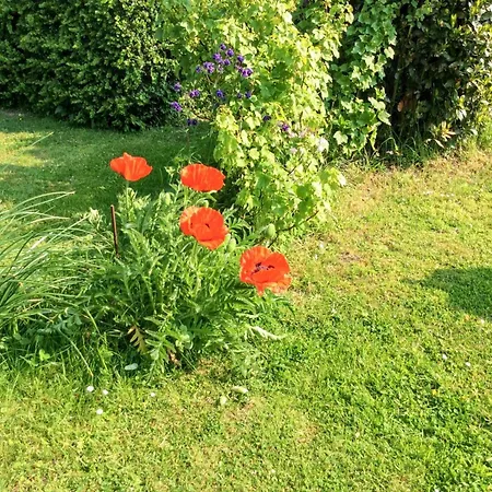 Maison De Charme A Avec Jardin Cloture Et Cheminee Holiday home *