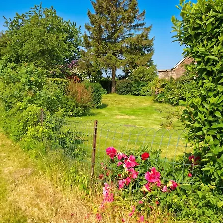 Maison De Charme à Avec Jardin Clôturé Et Cheminée * Mailly-Maillet