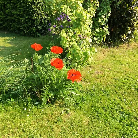 Maison De Charme à Avec Jardin Clôturé Et Cheminée