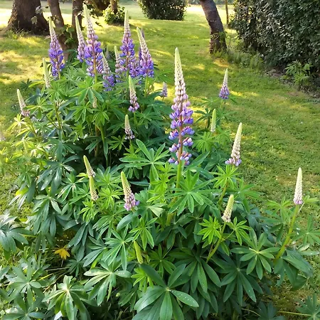 Maison De Charme à Avec Jardin Clôturé Et Cheminée Casa de Férias